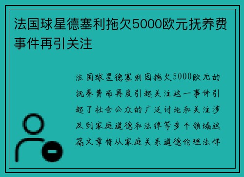 法国球星德塞利拖欠5000欧元抚养费事件再引关注